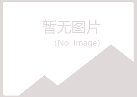 攸县夏日能源有限公司